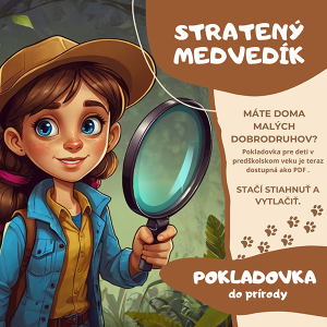 Pokladovka - Stratený medvedík